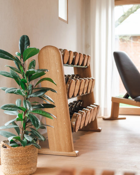 A set of NOHRD Dumbbells, styled in a bright, modern home gym next to a potted green plant.