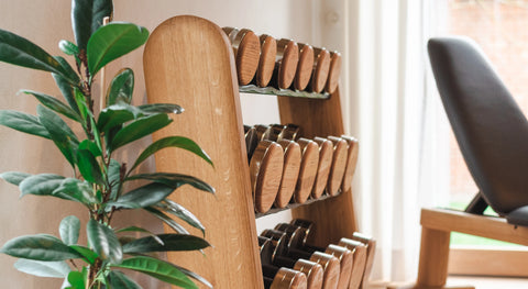 A wooden NOHRD DumbBell rack filled with wooden dumbbells in a bright indoor gym setting, with a green potted plant on the left and a weight bench blurred in the background.