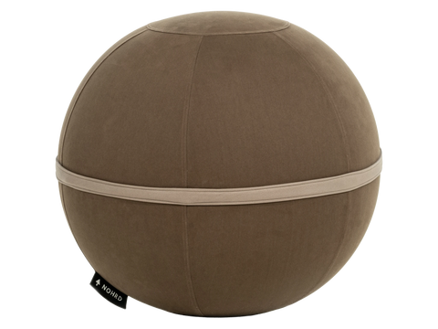 NOHRD VivaBall