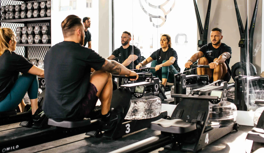 Fitness Clubs and Studios