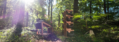 A NOHRD TriaTrainer and SwingWeight stand in a sun-dappled forest clearing with tall trees, ferns, and a dirt path visible.