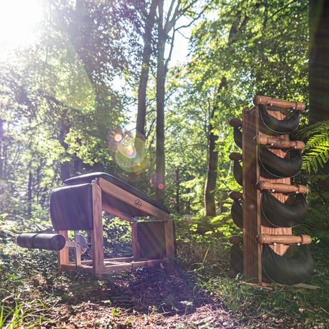 A NOHRD TriaTrainer and SwingWeight stand in a sun-dappled forest clearing with tall trees, ferns, and a dirt path visible.